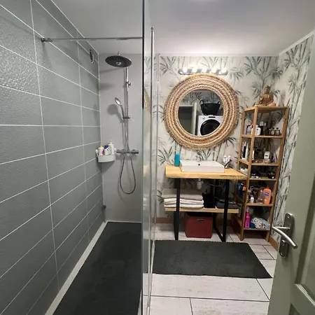 Grande Cosy Centre Historique 佩皮尼昂